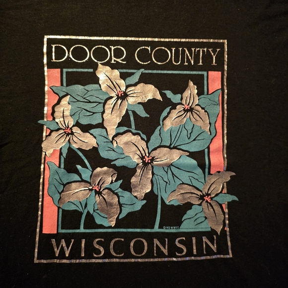 VINTAGE Y2K Door County Tee - Picture 3 of 7
